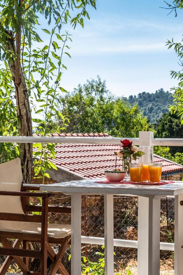 Skopelos Amigdalia Cottage エクステリア 写真